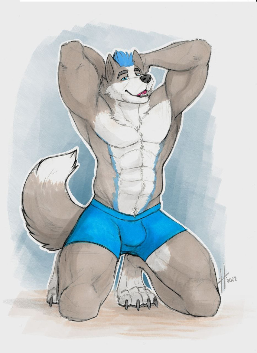abs anthro blue_eyes blue_hair blue_markings claws clothed clothing dipstick_tail fangs front_view fur grey_body grey_claws grey_fur grey_tail hair kneeling looking_at_viewer male male_anthro markings muscular muscular_anthro muscular_male narrowed_eyes open_mouth pecs red_tongue short_hair simple_background solo tail tail_markings teeth tongue topless white_body white_fur white_tail hufnaar canid canine mammal 2022 dated hi_res
