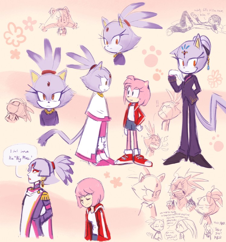 amy rose and blaze the cat (sonic the hedgehog (series) and etc) created by knockabiller