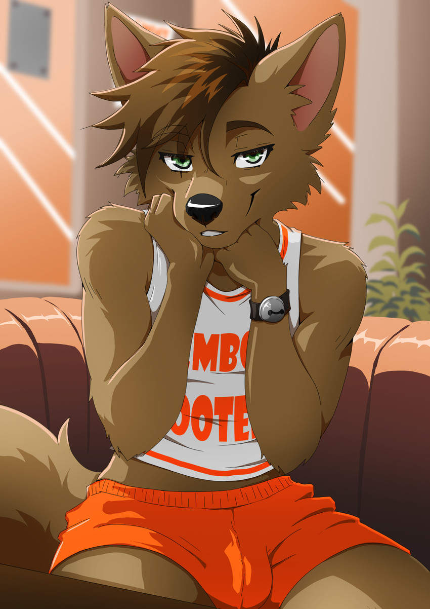bottomwear bulge clothing femboy looking_at_viewer male restaurant shorts sitting sleeveless_shirt solo tail ariesartist femboy_hooters canid canine mammal absurd_res hi_res