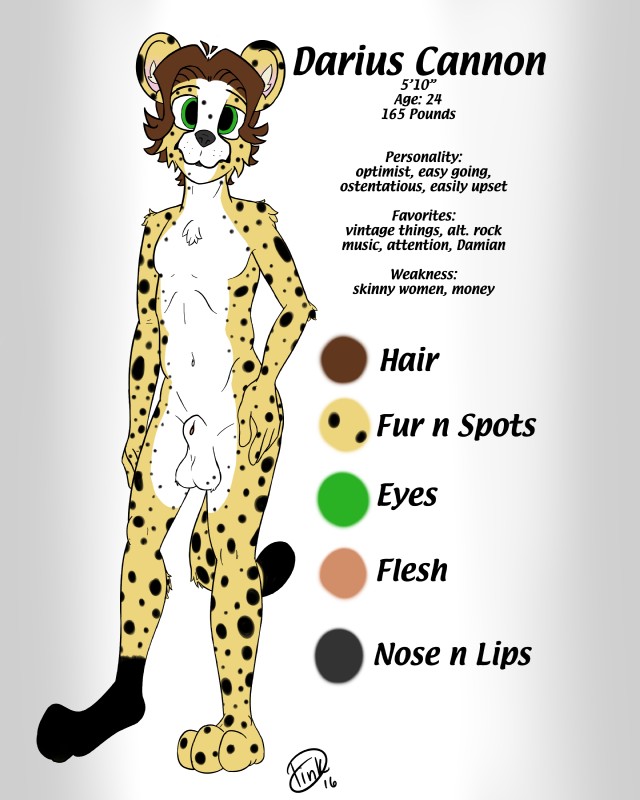 animal_genitalia anthro art_reference balls biped fully_sheathed fur genitals hair looking_at_viewer male nude sheath simple_background solo standing text dink_(artist) darius_cannon cheetah felid feline mammal 2016 4:5 absurd_res english_text hi_res model_sheet