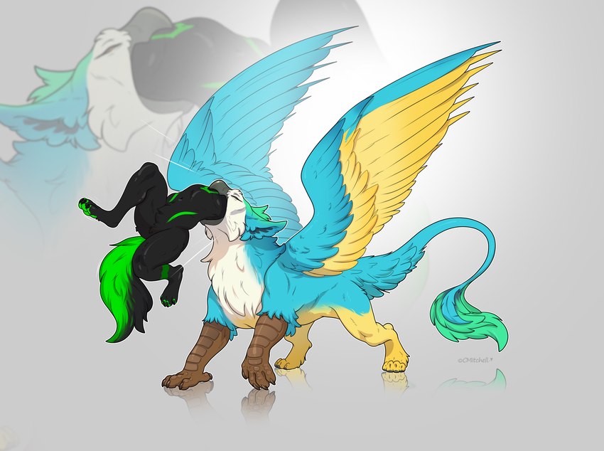 black_body black_fur blue_body blue_fur duo feral fur green_tail long_tail male male/male oral_vore stripes tail vore wings yellow_wings cmitchell mythology coulias avian canid canine canis gryphon mammal mythological_avian mythological_creature wolf digital_media_(artwork) hi_res