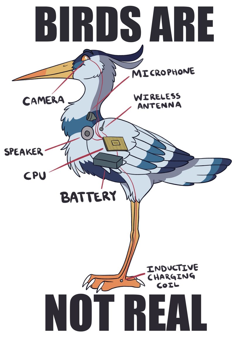 antenna_wire avian_feet battery beak blue_body blue_feathers camera diagram feathers feral grey_body grey_feathers machine male medical robotic simple_background solo speaker spy standing text white_background white_body white_feathers conditional_dnp evian blue_(computerheron) avian bird heron pelecaniform robot english_text hi_res