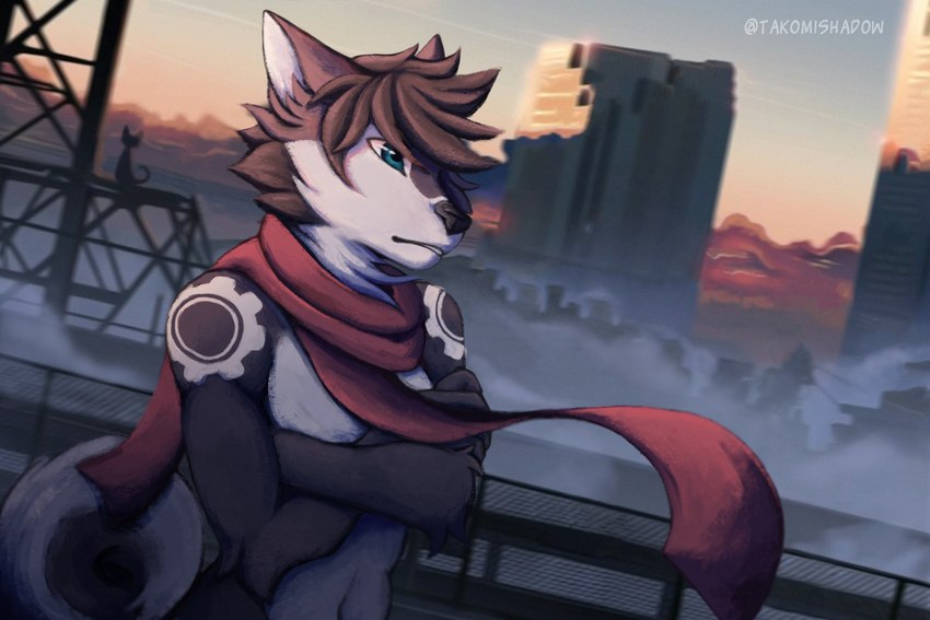 building city city_background cityscape cloud fog foggy_background high_place male morning scarf sky solo takomishadow gear_(foxgear) canid canine canis domestic_cat domestic_dog felid feline felis husky mammal nordic_sled_dog spitz 3:2