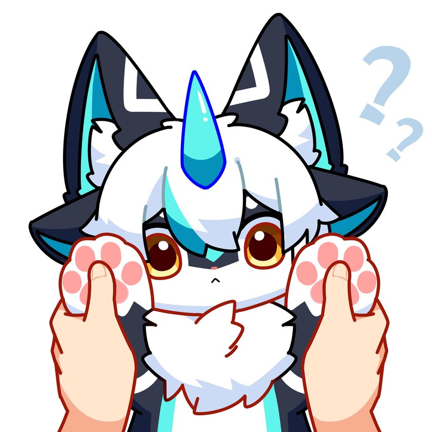 4_ears :< ambiguous_gender anthro black_body black_ears black_fur blue_horn blue_inner_ear blue_markings chest_tuft chibi countershading daww duo feet first_person_view foot_focus fur hair horn kemono looking_at_viewer markings multi_ear multicolored_ears pawpads pink_nose pink_pawpads question_mark simple_background tuft two_tone_ears white_background white_body white_countershading white_fur white_hair yellow_eyes windbiom hefeng_character cetacean furred_cetacean human mammal marine hi_res