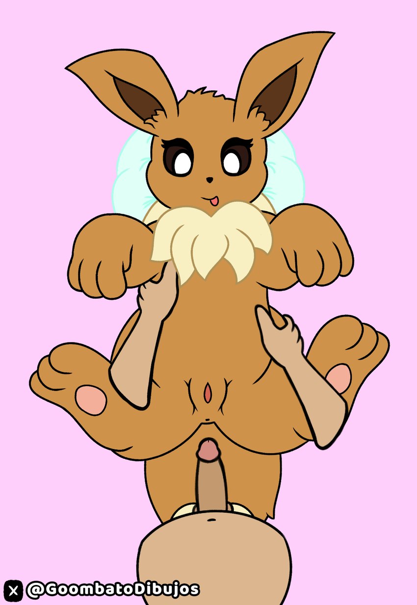 duo female feral genitals interspecies male male/female penis pokephilia pussy goombato_dibujos nintendo pokemon eevee generation_1_pokemon human mammal pokemon_(species) hi_res