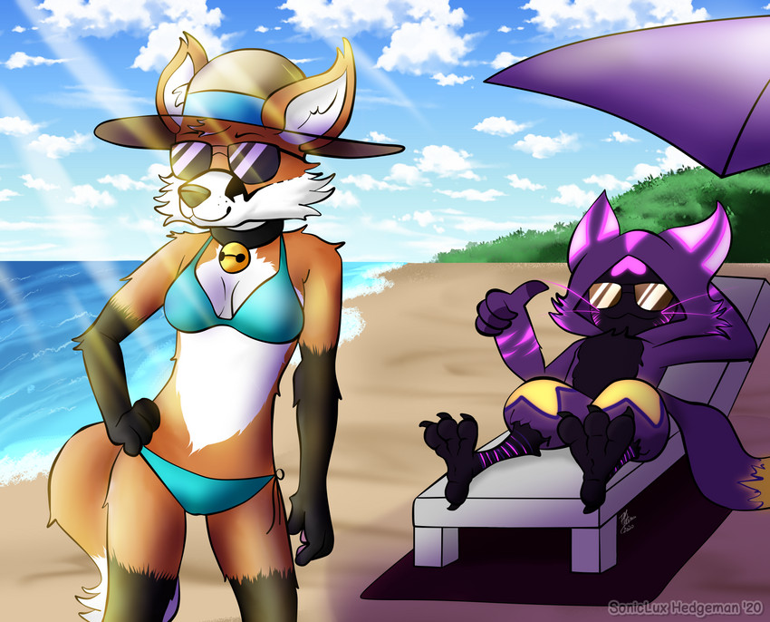 anthro avian_feet beach bikini biped chair clothing cloud collar detailed_background duo eyewear female furniture gesture glowing glowing_eyes glowing_markings hand_gesture hat headgear headwear light lying male markings outside sand sea seaside standing sunglasses sunlight swimwear thumbs_up two-piece_swimsuit water sonicluxhedgeman rain_(midnightskyw3re) soniclux canid canine fox impim mammal absurd_res digital_drawing_(artwork) digital_media_(artwork) hi_res shaded signature watermark