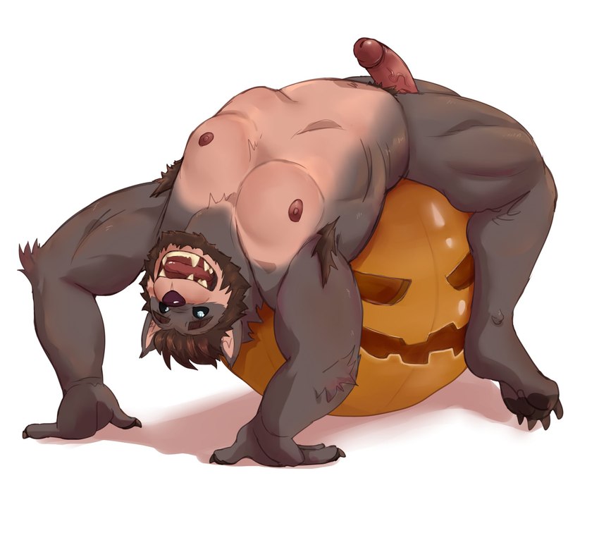 anthro casual_erection erection facial_hair food fruit genitals grey_body humanoid_genitalia humanoid_hands humanoid_penis male muscular muscular_anthro muscular_male nipples nude penis plant pumpkin sitting sitting_on_pumpkin solo vein veiny_penis beastsauc3 canid canine canis mammal wolf hi_res