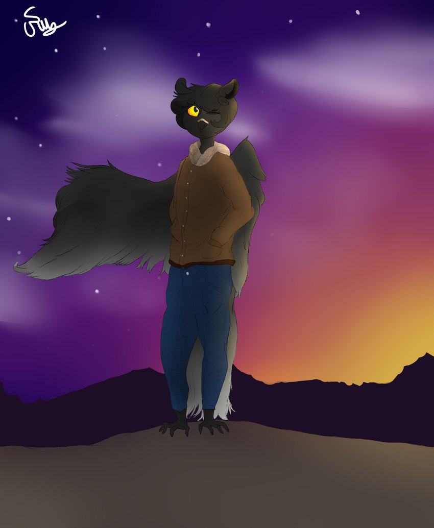 anthro black_body black_hair bottomwear clothing denim denim_bottomwear denim_clothing feathered_wings feathers hair jacket jeans looking_up male one_eye_closed pants sky solo star starry_sky sunset tail tail_feathers topwear wings yellow_eyes rusoide animal_humanoid avian avian_humanoid bird bird_humanoid humanoid owl owl_humanoid absurd_res hi_res