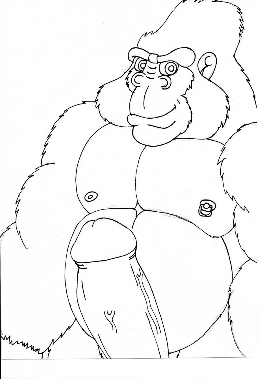 anthro erection foreskin genitals humanoid_genitalia humanoid_penis looking_at_viewer male muscular muscular_anthro muscular_male nipple_piercing nipple_ring nipples pecs penis piercing ring_piercing solo vein veiny_penis draftstallion2005 gor_(tomcat) ape gorilla haplorhine mammal primate black_and_white hi_res monochrome sketch