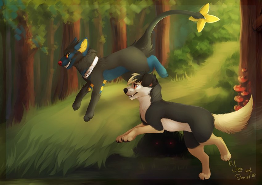 donritzu and hato the collie (nintendo and etc) created by izabella and yana-r
