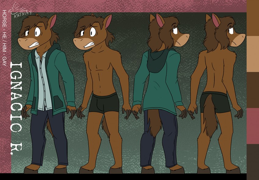 anthro barefoot bottomwear brown_body brown_fur brown_hair bulge butt clothing color_swatch feet fur hair hoodie hooves jacket male mane navel pants rear_view shirt solo tail topwear underwear katnay the_whisperers ignacio_(katnay) equid equine horse mammal character_name model_sheet