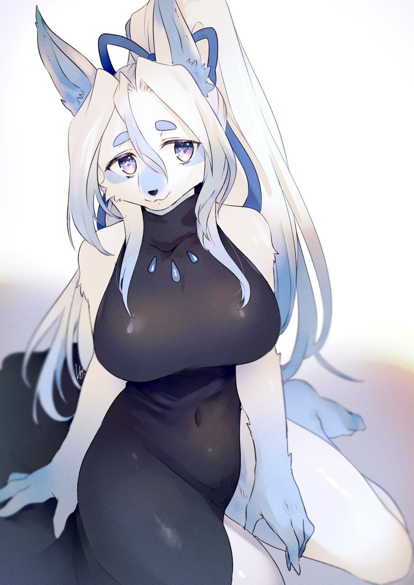 accessory anthro biped black_nose blue_body blue_fur blue_hair breasts cheek_tuft clothing dress eyebrows eyelashes facial_tuft female fur hair hair_accessory hair_ribbon inner_ear_fluff kemono kneeling long_hair looking_at_viewer multicolored_body multicolored_fur multicolored_hair navel_outline ponytail purple_eyes ribbons smile solo thick_eyebrows tuft two_tone_body two_tone_fur two_tone_hair white_body white_fur white_hair htg canid canine mammal hi_res