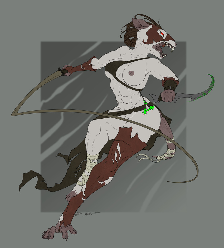 aggressive anthro breasts dagger female melee_weapon muscular muscular_anthro muscular_female nipples solo weapon whip ascar_angainor warhammer_(franchise) warhammer_fantasy fan_character szatra_(ascar_angainor) mammal murid murine rat rodent skaven absurd_res hi_res