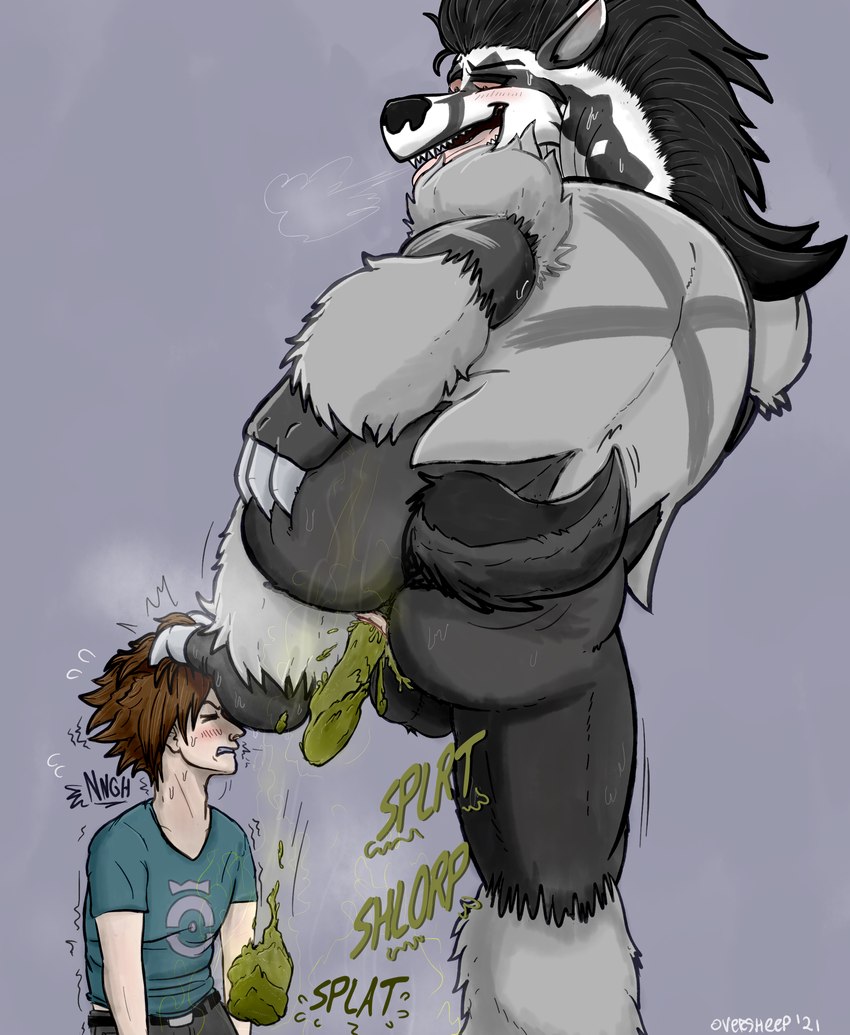 annoyed anthro anus balls belt black_body black_fur blue_clothing blue_shirt blue_topwear blush bodily_fluids bottomwear breath brown_hair butt claws clenched_teeth clothing dipstick_ears duo ear_markings emanata eyes_closed fart fart_cloud feces feet finger_claws flying_sweatdrops foot_on_head fur genitals grey_background grey_body grey_bottomwear grey_clothing grey_fur grey_pants hair hand_on_butt hand_on_own_butt light-skinned_male light_body light_skin looking_down looking_down_at_another male multicolored_ears narrowed_eyes open_mouth open_smile pants pink_sclera pooping pooping_on_floor raised_tail scatplay shirt simple_background smile sound_effects spread_butt spreading sweat sweatdrop sweaty_body tail teeth text toe_claws tongue tongue_out topwear white_body white_fur oversheep nintendo pokemon generation_8_pokemon human mammal obstagoon pokemon_(species) 2021 absurd_res artist_name dated hi_res