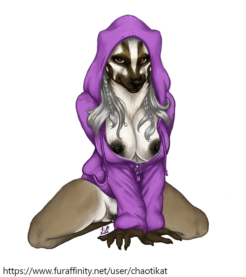 5_fingers anthro black_nipples black_nose black_pussy brown_eyes claws clothed clothing female fingers fur genitals grey_body grey_fur grey_hair hair kneeling nipples pussy solo sweater text topwear chaotikat badger mammal mustelid musteline hi_res url