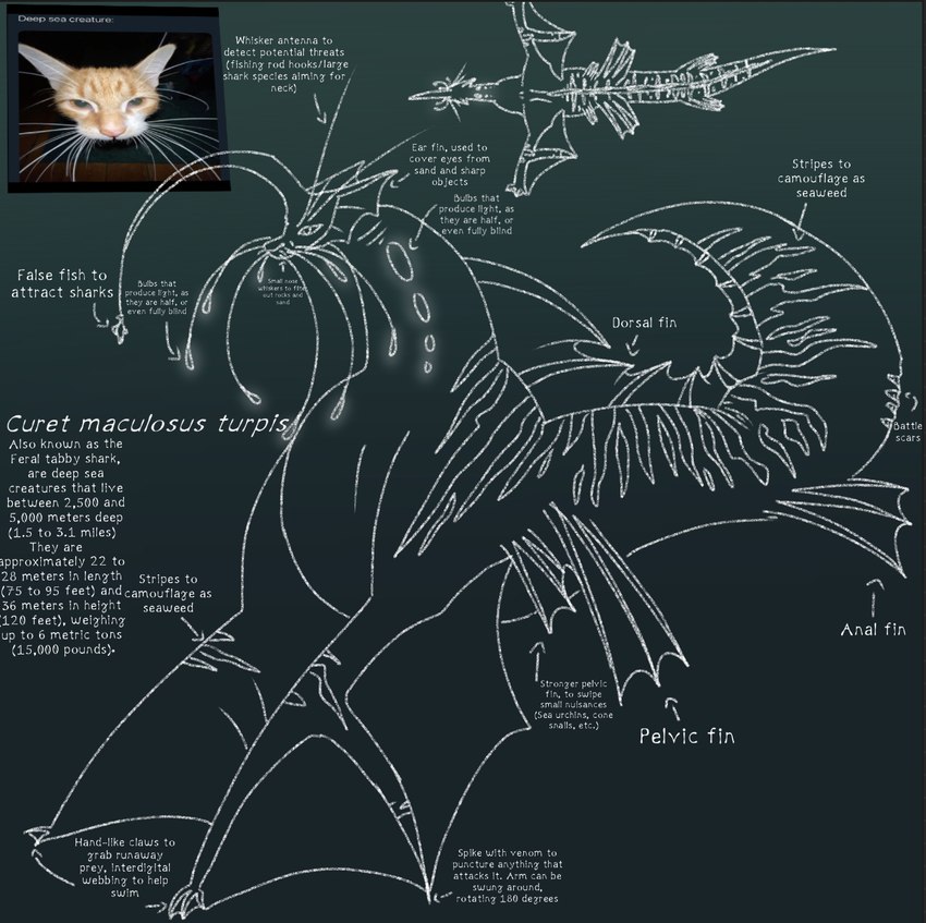 ambiguous_gender big_tail bite_mark blind blind_eye camo claws curet_maculosus_turpis disability dorsal_fin feet feral fin flesh gills glowing gradient_background green_background light lure_(anatomy) markings membrane_(anatomy) pelvic_fins simple_background solo spikes stripes swimming tail text toes webbed_feet whiskers impulsivemealworm anglerfish felid feline fish mammal marine shark english_text hi_res sketch