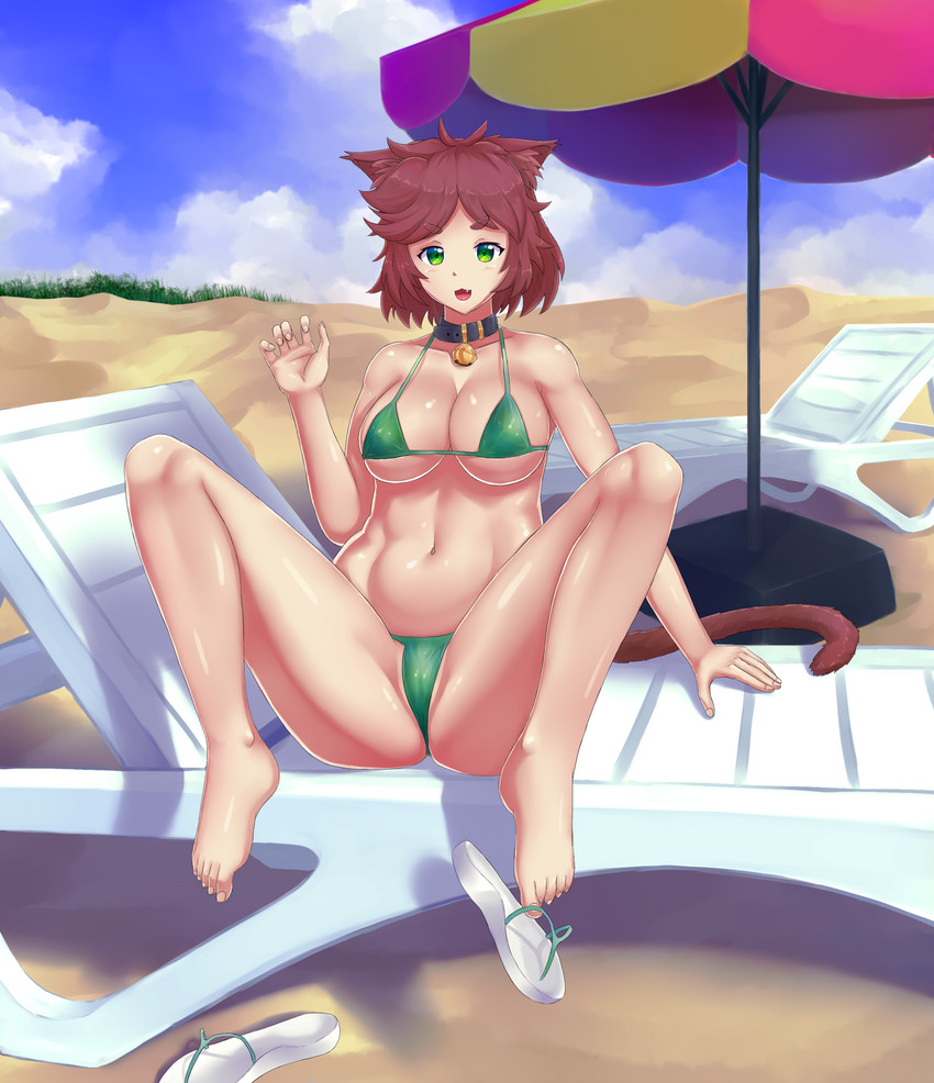 beach bikini breasts brown_hair clothed clothing collar female green_bikini green_clothing green_swimwear hair seaside skimpy solo swimwear tight_bikini triangle_bikini two-piece_swimsuit unknown_artist lucy_(dehelleman) animal_humanoid cat_humanoid felid felid_humanoid feline feline_humanoid humanoid mammal mammal_humanoid absurd_res hi_res