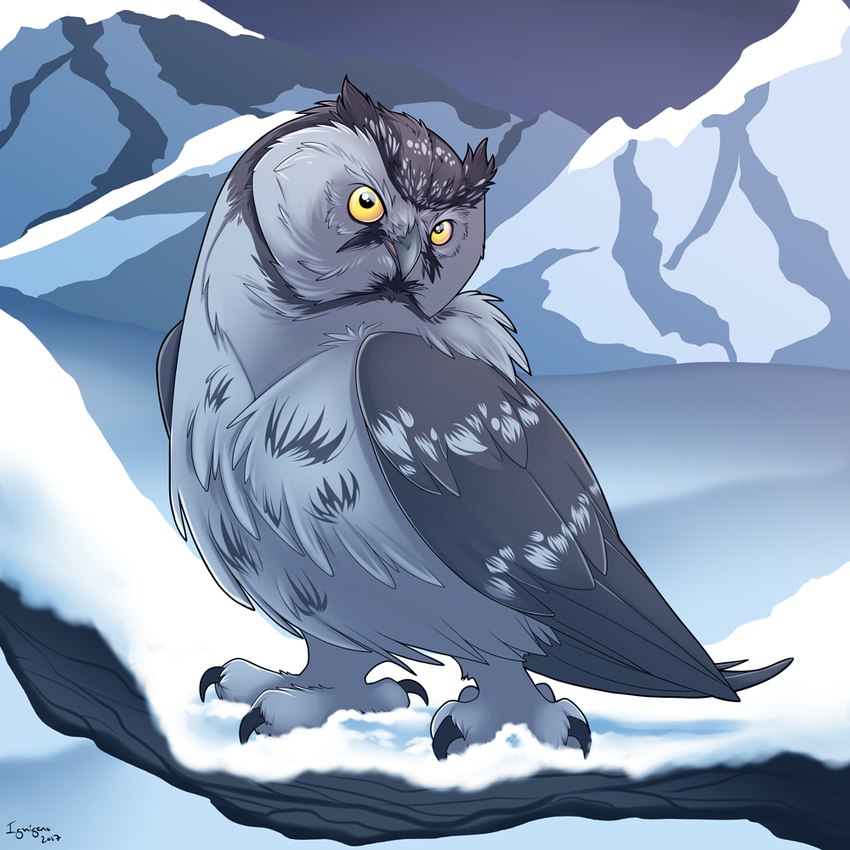 4_toes ambiguous_gender feathers feet feral grey_body grey_feathers mountain snow solo talons toes yellow_eyes zygodactyl ignigeno guardians_of_ga'hoole grimble_(gogh) aegolius avian bird boreal_owl owl true_owl 1:1 male_(lore)