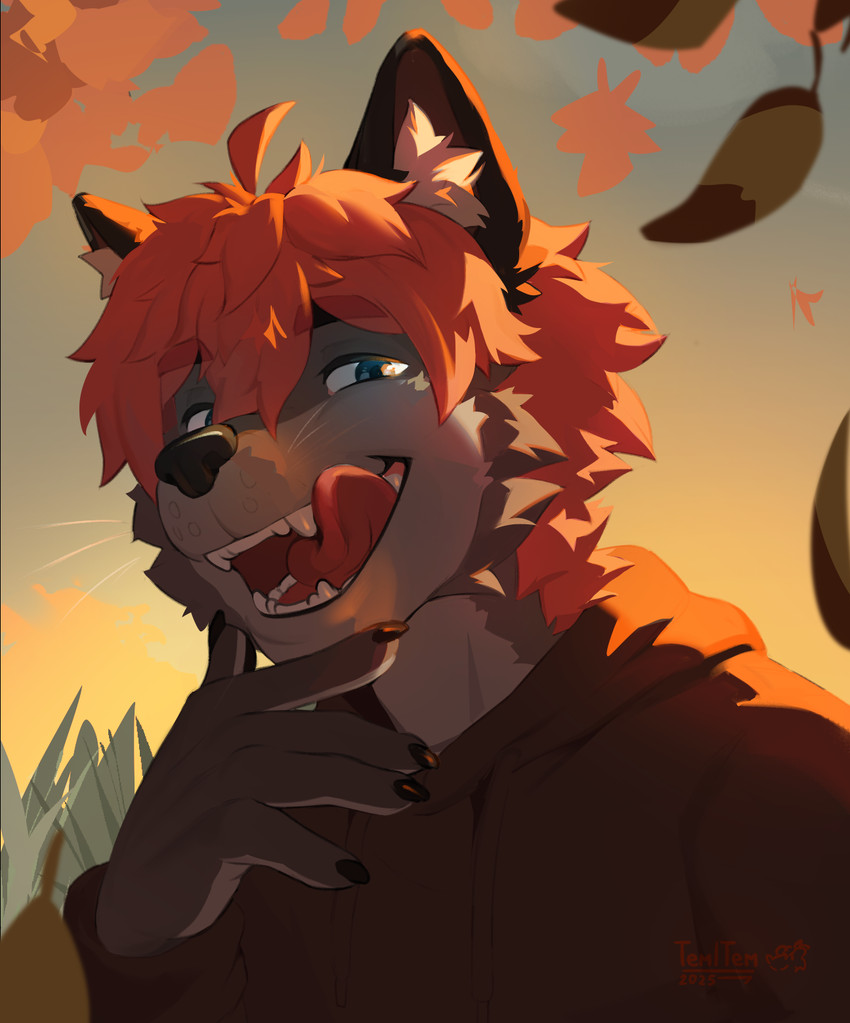 5_fingers anthro autumn biped black_body black_claws black_clothing black_ears black_fur black_nose blue_eyes blush brown_body brown_clothing brown_fur brown_topwear cheek_tuft claws clothed clothed_male clothing countershading day detailed_background eyebrows facial_tuft fangs finger_claws fingers front_view fur glistening glistening_eyes grass grey_body grey_fur hair hoodie inner_ear_fluff leaf licking licking_lips licking_own_lips lips looking_at_viewer male male_anthro multicolored_body multicolored_fur narrowed_eyes open_mouth open_smile orange_hair outside pink_hair pink_tongue plant red_clothing red_hair red_hoodie red_tongue red_topwear self_lick short_hair simple_background sky smile smiling_at_viewer solo sunset teeth text tongue tongue_out topwear tree tuft whiskers white_body white_inner_ear white_tuft tem1tem mythology bluble canid canine canis domestic_dog dragon hybrid mammal mythological_creature mythological_scalie scalie artist_name bust_portrait dated detailed digital_media_(artwork) hi_res portrait shaded signature