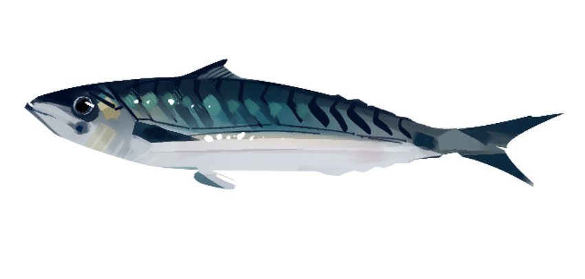 ambiguous_gender countershading dorsal_fin feral fin glistening glistening_body glistening_scales pectoral_fin pelvic_fins scales side_view simple_background solo tail tail_fin white_background rekkadraws fish mackerel marine scombrid scombriform 2024 digital_media_(artwork) digital_painting_(artwork) full-length_portrait portrait