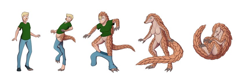 anthro basic_sequence blonde_hair bottomwear breast_growth breasts brown_body brown_scales clothing featureless_breasts featureless_crotch female five_frame_sequence gender_transformation green_clothing green_shirt green_topwear growth hair human_to_anthro linear_sequence looking_down male mtf_transformation nude on_one_leg pants scales shirt simple_background smile solo species_transformation standing tail tail_growth thin_calves thin_legs thin_thighs topwear transformation transformation_sequence white_background tomek1000 human mammal pangolin 2024 absurd_res digital_media_(artwork) hi_res sequence