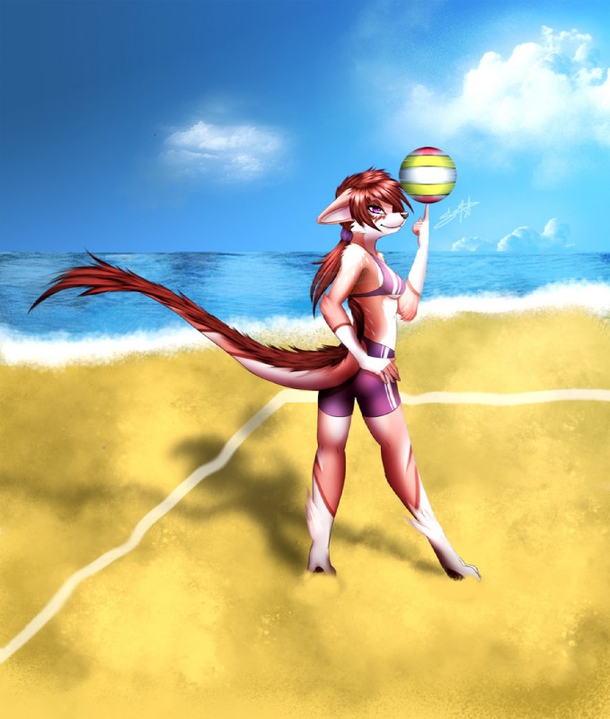 anthro ball ball_on_finger beach belly biped black_nose bottomwear bra breasts clothed clothing cloud detailed_background female floppy_ears fur hair long_tail outside ponytail pose red_body red_fur red_hair sand seaside shorts sky solo sport standing tail underwear volleyball volleyball_(ball) water white_belly white_body white_fur pacmancorp leyticia