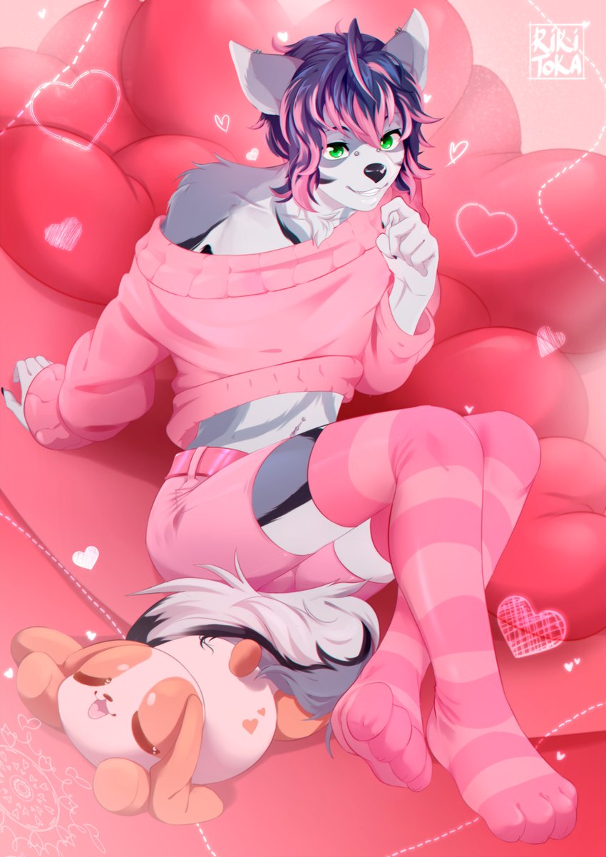 anthro black_nose clothing femboy footwear furniture heart_symbol male pink_clothing pink_footwear pink_socks pink_sofa plushie socks sofa solo rikitoka shiro_(shirodog) canid canine canis domestic_dog husky mammal nordic_sled_dog spitz hi_res