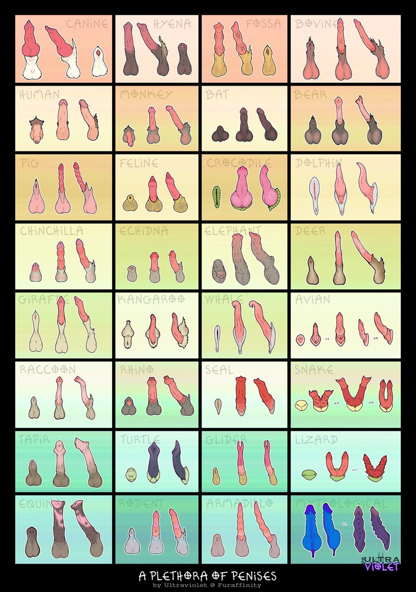 a plethora of penises and etc created by ultraviolet