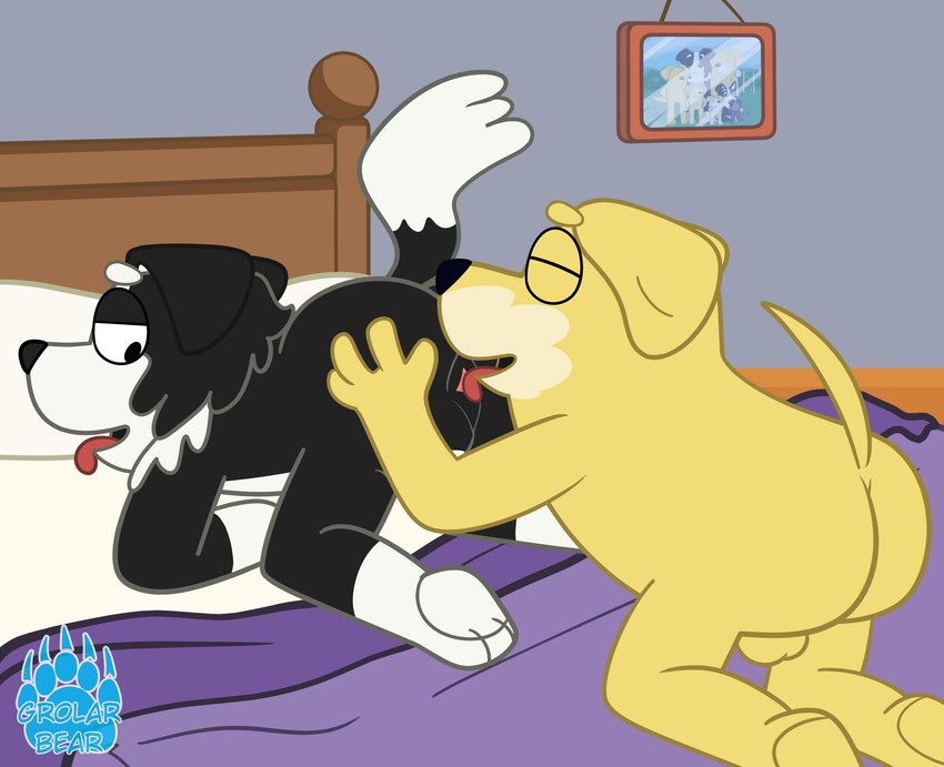 anal anthro backsack balls bed black_body black_nose butt duo eyes_closed furniture genitals licking male male/male oral pillow rimming sex tongue tongue_out white_body grolarbearsins bluey_(series) mackenzie's_dad_(bluey) pat_(bluey) bird_dog border_collie canid canine canis collie domestic_dog herding_dog hunting_dog labrador mammal pastoral_dog retriever sheepdog 2024 absurd_res hi_res