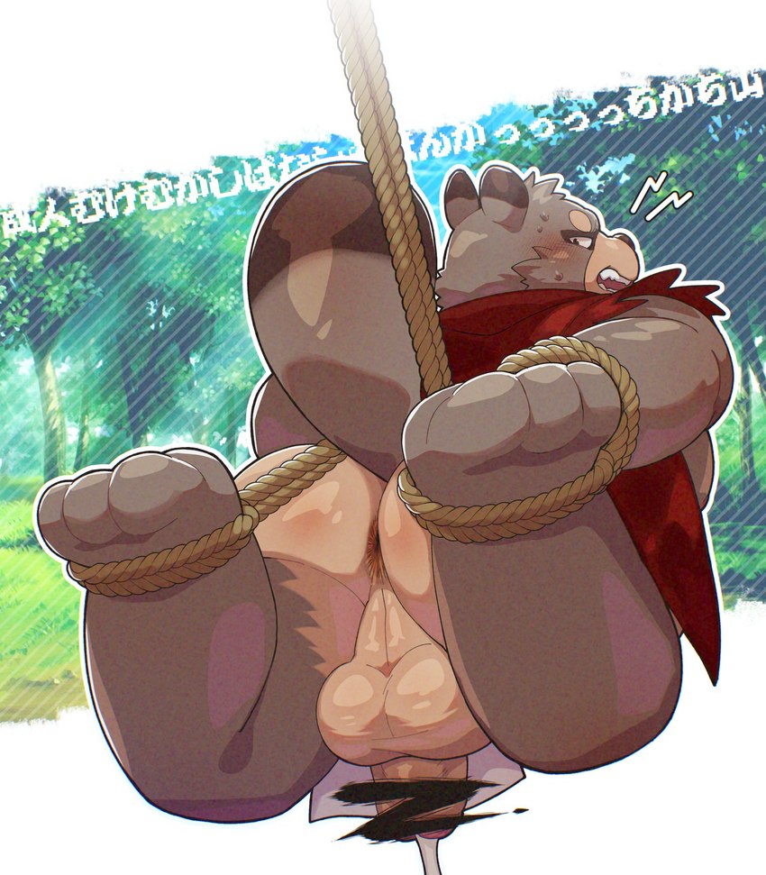 anthro anus asian_clothing backsack balls big_balls blush bound butt clothing east_asian_clothing fundoshi genitals japanese_clothing kemono male overweight overweight_male penis rope solo underwear white_clothing white_fundoshi white_underwear un0sk kachi-kachi_yama canid canine mammal raccoon_dog tanuki 2023 censored hi_res