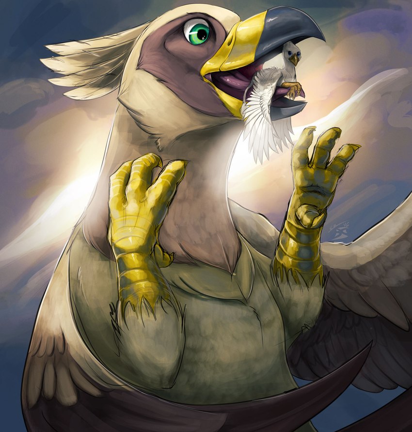 avian_feet beak brown_body duo feathered_wings feathers feet female feral fur in_mouth male mawplay micro size_difference talons toes white_body wings yellow_body blindcoyote mythology der serilde avian gryphon mythological_avian mythological_creature hi_res