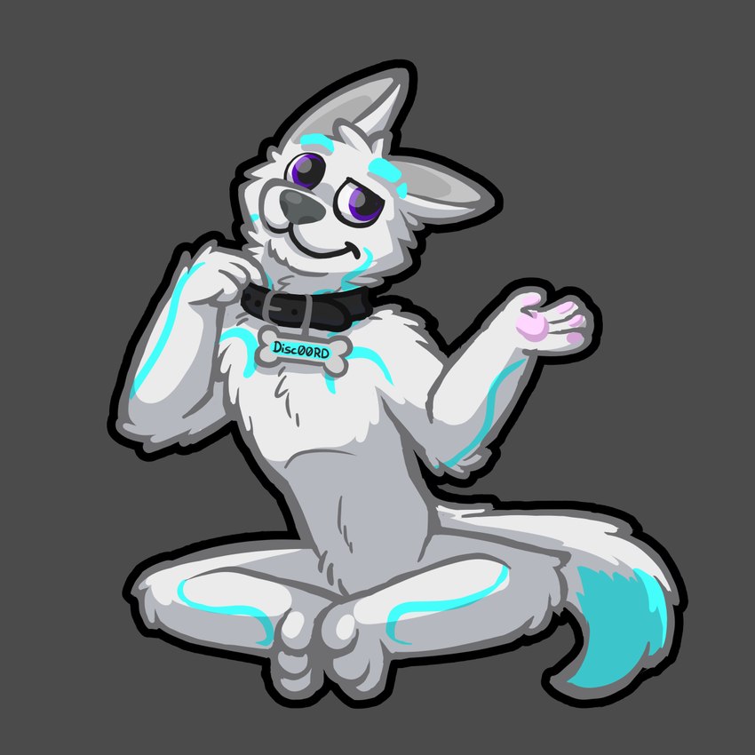 anthro blue_body blue_markings bone_collar_tag collar collar_only collar_tag glistening glistening_eyes grey_background looking_aside male markings nude outline pawpads paws purple_eyes simple_background sitting smile solo tail white_body luhrak canid canine canis mammal wolf 1:1 cel_shading digital_media_(artwork) full-length_portrait hi_res portrait shaded simple_shading