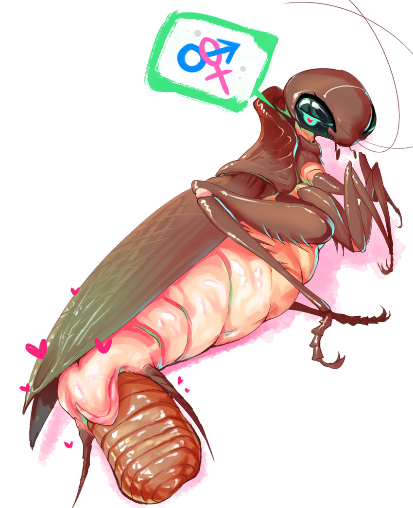 ambiguous_gender animal_genitalia antennae_(anatomy) arthropod_abdomen arthropod_abdomen_cloaca arthropod_abdomen_genitalia cloaca egg female female_symbol feral gender_symbol genitals heart_symbol insect_wings male male/female male/female_symbol male_symbol multi_leg multi_limb ootheca oviposition sexuality_symbol simple_background solo symbol white_background wings chobonolly fallout microsoft arthropod blattodea cockroach insect radroach_(fallout) hi_res