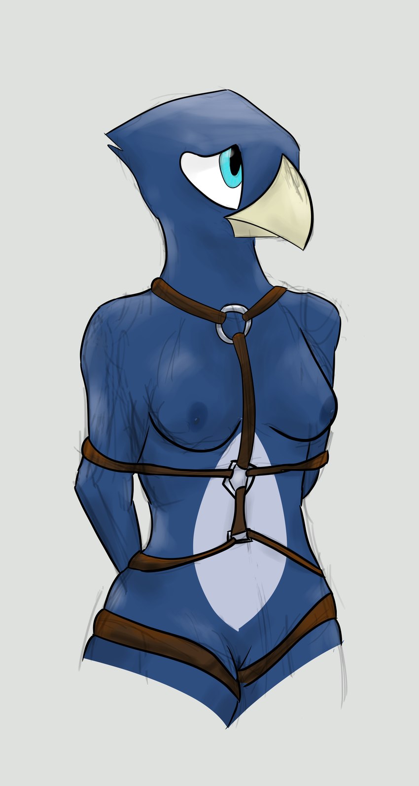 anthro bdsm bondage bound breasts female genitals harness nipples non-mammal_breasts non-mammal_nipples pussy simple_background solo tomskeleton avian bird absurd_res hi_res