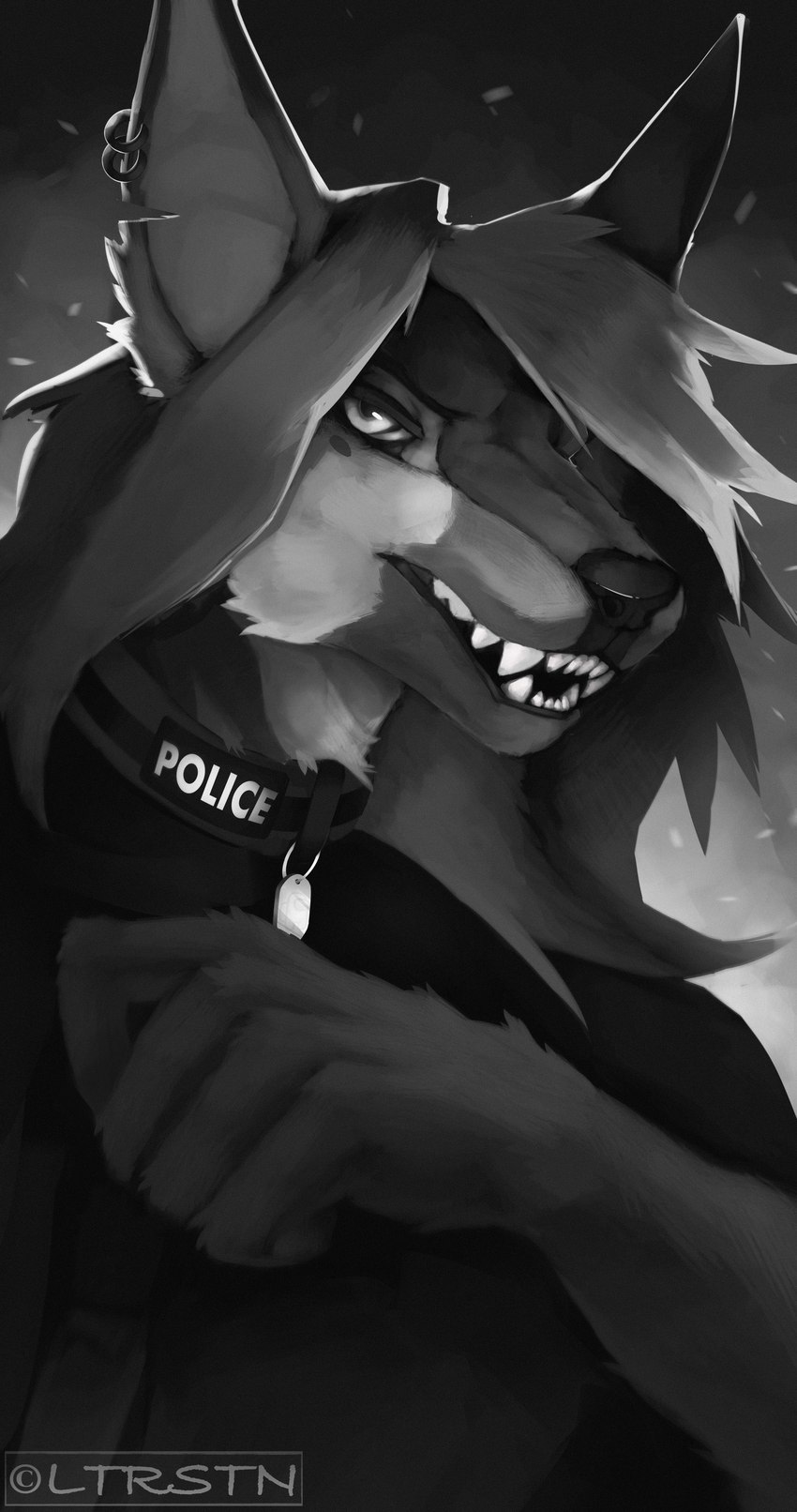 anthro black_clothing clothing collar dog_tags ear_piercing ear_ring ear_scar female hair long_hair looking_at_viewer piercing police police_uniform ring_piercing scar smile smirk solo teeth_showing uniform loiterstein canid canine canis domestic_dog german_shepherd herding_dog mammal pastoral_dog 135:256 absurd_res hi_res huge_filesize portrait restricted_palette