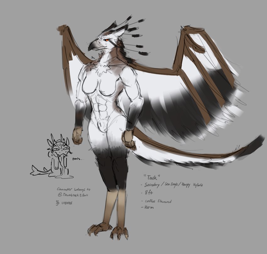 abs animal_genitalia anthro black_sclera breasts chibi digitigrade feet genitals gynomorph herm intersex muscular sheath simple_background solo talon_hands talons text toes wings litehase mythology lite_(litehase) tack_(thumbtack8ball) accipitrid accipitriform avian bird dragon eagle eastern_dragon mythological_creature mythological_scalie scalie secretary_bird english_text hi_res model_sheet sketch herm_(lore) maleherm_(lore)
