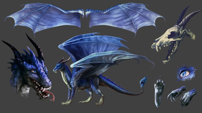 4_legs blue_body blue_eyes blue_scales claws fangs female feral forked_tongue gradient_scales horn membrane_(anatomy) membranous_wings open_mouth scales solo tail tail_tuft teeth tongue tuft twisted_horns white_body white_scales wings nathradas european_mythology mythology dremora dragon mythological_creature mythological_scalie scalie western_dragon 2012 digital_drawing_(artwork) digital_media_(artwork) headshot_portrait hi_res model_sheet portrait unfinished