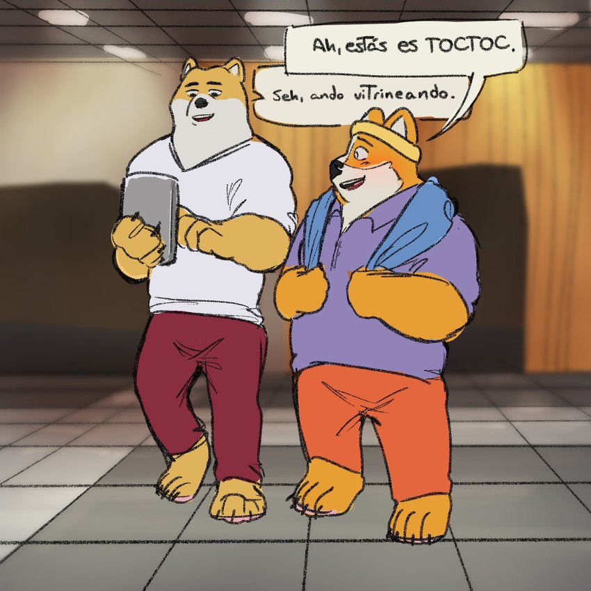 anthro black_nose blush bottomwear brown_body clothing dialogue duo humanoid_hands inside male pants shirt slightly_chubby text topwear towel towel_around_neck lentejota6 dogelore cheems doge canid canine canis domestic_dog mammal shiba_inu spitz 1:1 2021 hi_res meme spanish_text translated