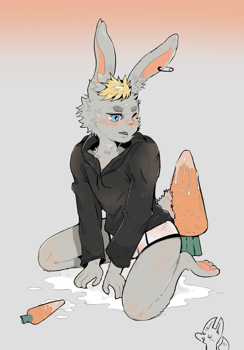 anthro black_clothing black_hoodie black_topwear bodily_fluids briefs carrot clothing cum dildo drawyourfursona ear_piercing food genital_fluids hoodie hoodie/briefs_meme lube male piercing plant sex_toy simple_background solo topwear underwear vegetable white_clothing white_underwear yrac meme_clothing sinide_(sinide) lagomorph leporid mammal rabbit digital_media_(artwork) hi_res meme shaded