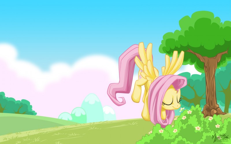 fluttershy (friendship is magic and etc) created by mysticalpha