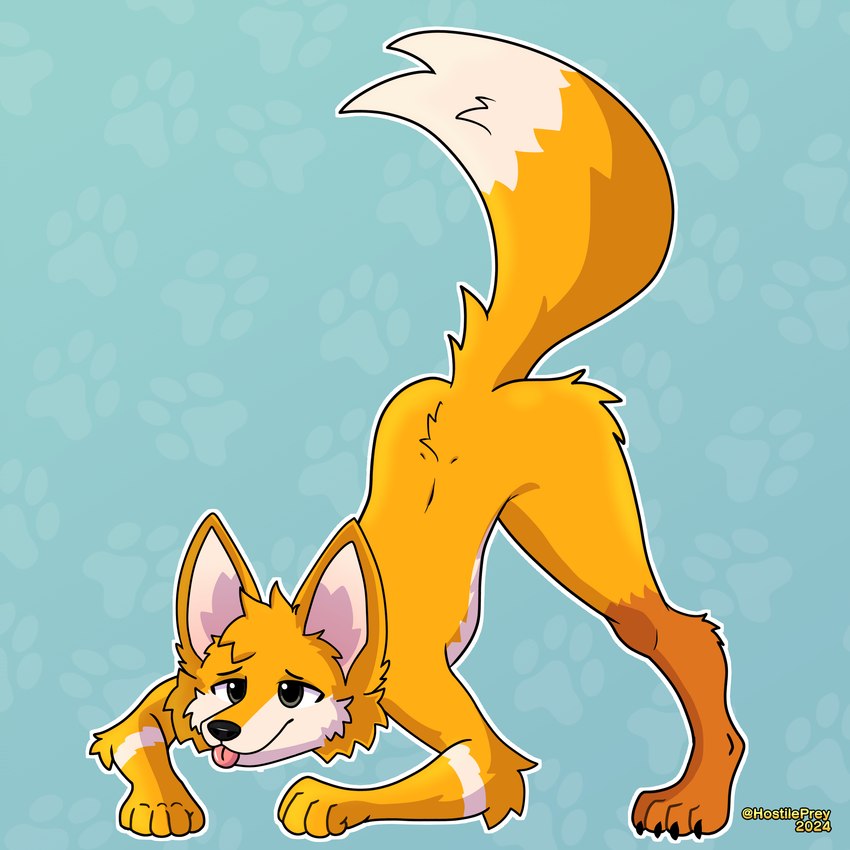 anthro ass_up butt jack-o'_pose male pose solo hostileprey chris_(raposanaranja) canid canine fox mammal red_fox true_fox 1:1 absurd_res hi_res