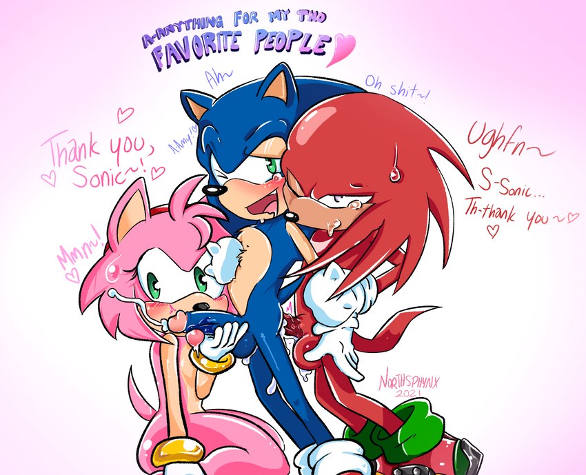 amy rose, knuckles the echidna, and sonic the hedgehog (sonic the hedgehog (series) and etc) created by northsphynx