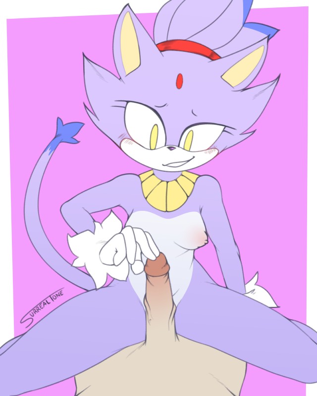 anthro border breasts duo female female_focus genitals happy human_on_anthro humanoid_genitalia humanoid_penis interspecies male male/female mostly_nude nipples nude penis smile solo_focus white_border surrealtone sega sonic_the_hedgehog_(series) blaze_the_cat domestic_cat felid feline felis human mammal 2019 4:5 absurd_res hi_res