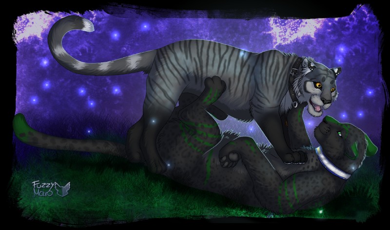 collar detailed_background duo female feral happy male meadow night playing romantic romantic_ambiance romantic_couple star stripes fuzzymaro felid leopard mammal pantherine tiger alpha_channel digital_media_(artwork) signature