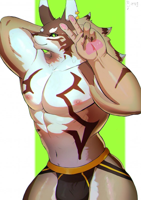 anthro biceps countershading fur green_eyes male muscular muscular_anthro muscular_male piercing solo dkqksms1004 lifewonders tokyo_afterschool_summoners seth_(tas) canid canine canis jackal mammal 2019 absurd_res hi_res