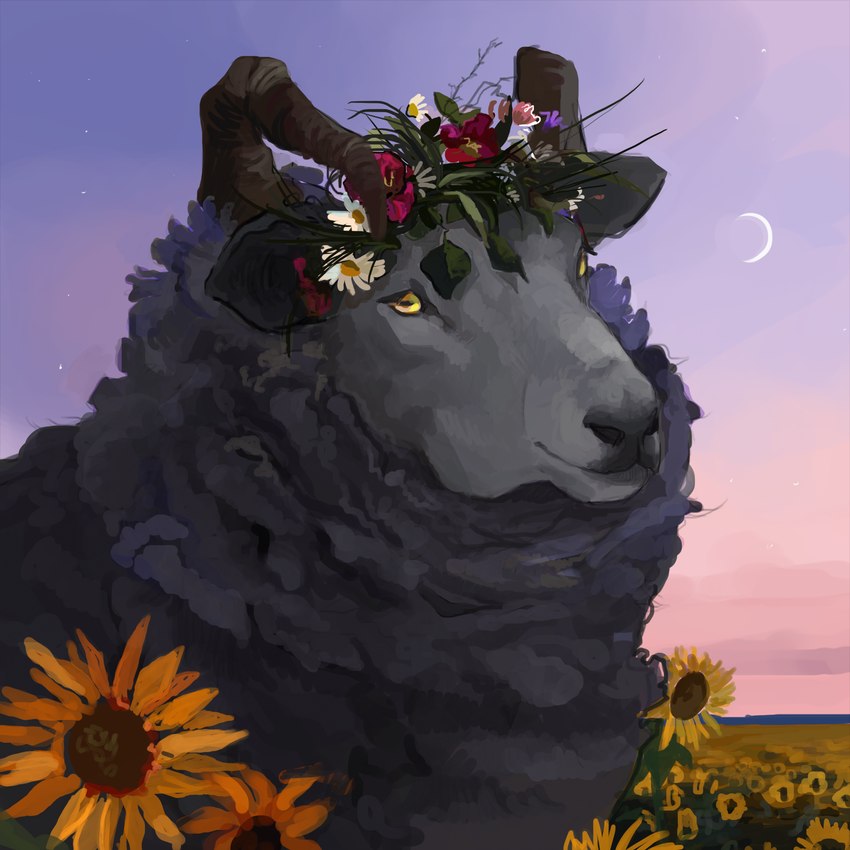 chamomile crescent_moon feral flower fur horizontal_pupils male moon plant pupils sky solo star sunflower wool_(fur) wreath yellow_eyes tourclub_chergid bovid caprine mammal sheep 1:1 colored_sketch hi_res portrait sketch