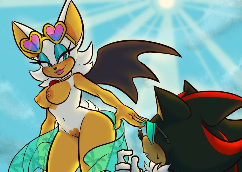 anthro beach bedroom_eyes breasts duo eyeshadow eyewear female fur half_clothed light makeup male male/female narrowed_eyes nipples pose presenting_body quills_(anatomy) scarf seductive smile smirk smirking_at_partner spread_wings stripes sun sunglasses sunlight tail wings ggs_busyrn sega sonic_the_hedgehog_(series) rouge_the_bat shadow_the_hedgehog bat eulipotyphlan hedgehog mammal hi_res