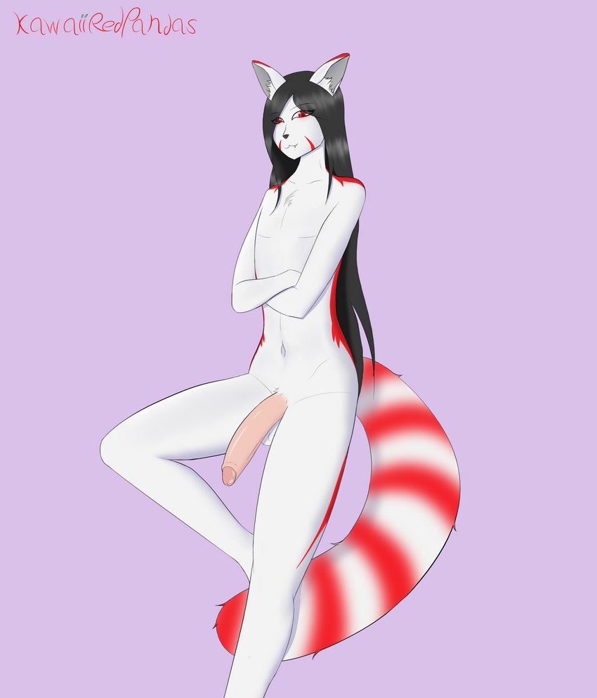 anthro big_penis black_hair erection femboy fur genitals hair long_hair male penis solo white_body white_fur kawaiiredpandas ailurid mammal red_panda absurd_res hi_res