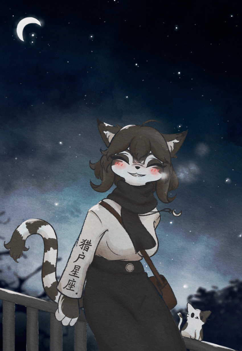 ambiguous_gender anthro anthro_focus black_hair blush breasts clothing dress duo eyes_closed female female_focus fence feral hair looking_at_viewer moon night open_mouth outside smile solo_focus star dogpig28472 ambient_cat domestic_cat felid feline felis mammal 2020 absurd_res hi_res