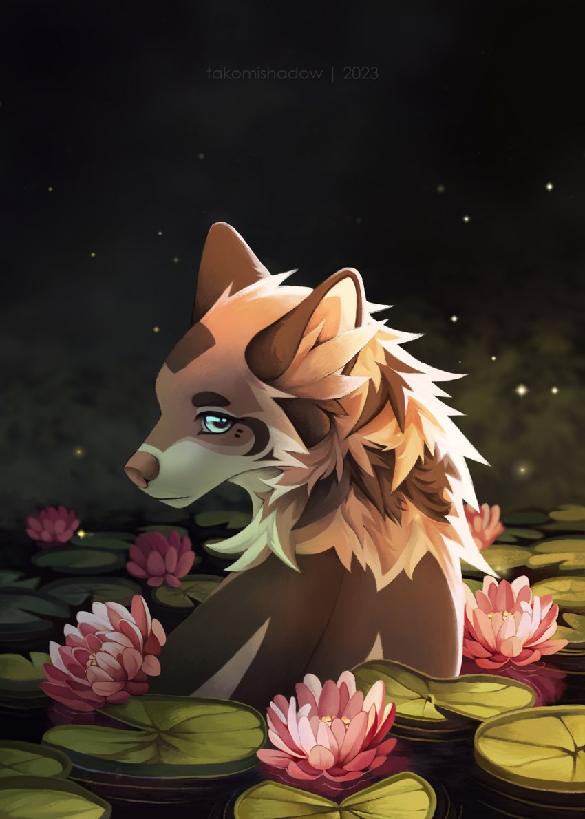 blue_eyes brown_body brown_fur female feral flower fur lily_pad night painting plant pond solo tranquil water takomishadow misha_(takomishadow) ambient_arthropod arthropod beetle canid canine canis coyote elateroid firefly insect mammal illustration hi_res